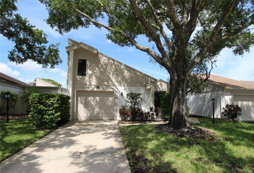 a view of a tree in front of a house