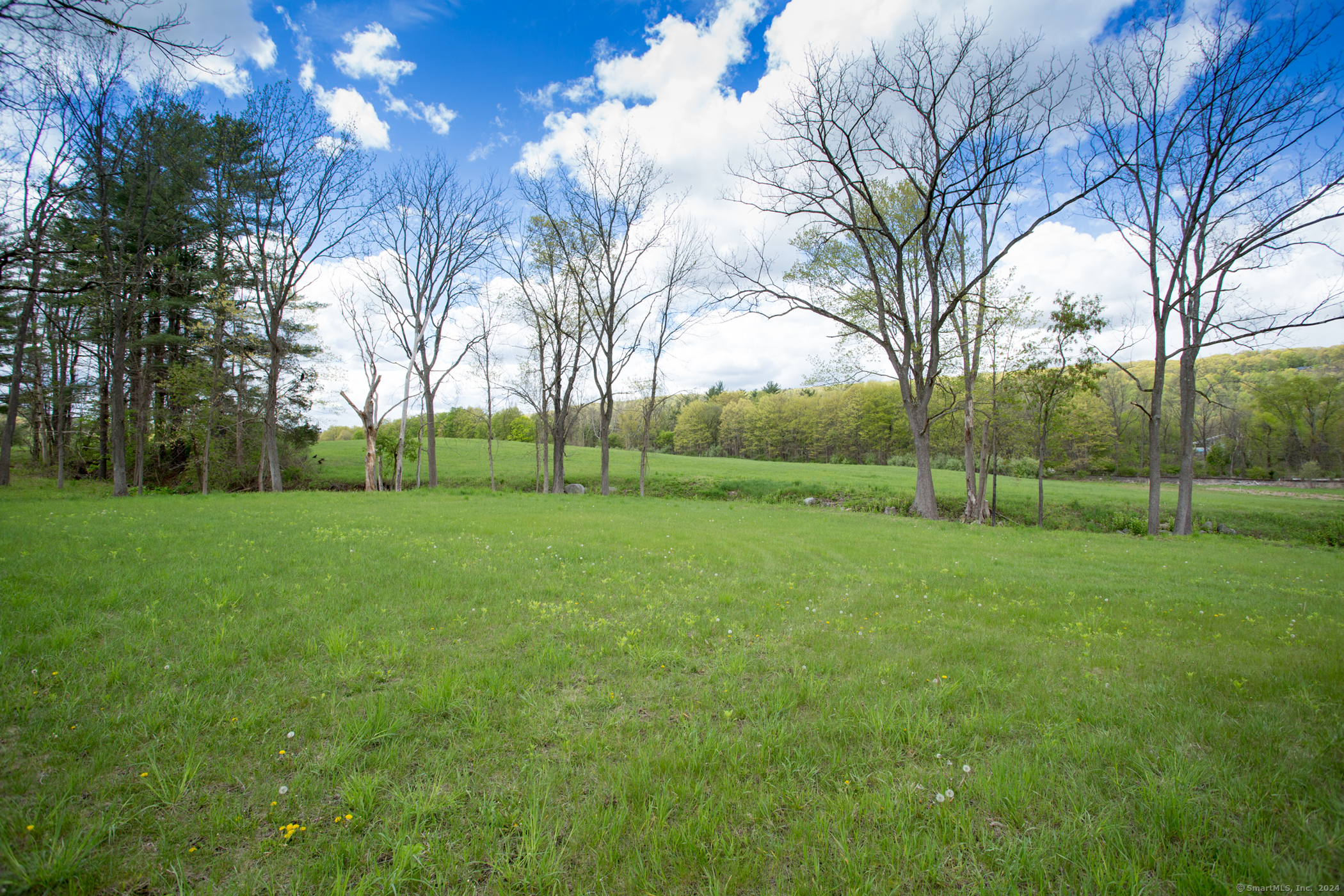 a view of a park with large trees