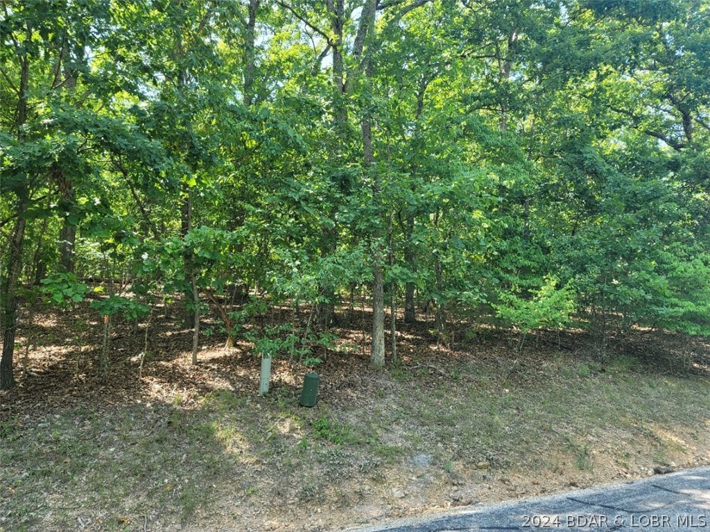 Lot 340 Austin Circle