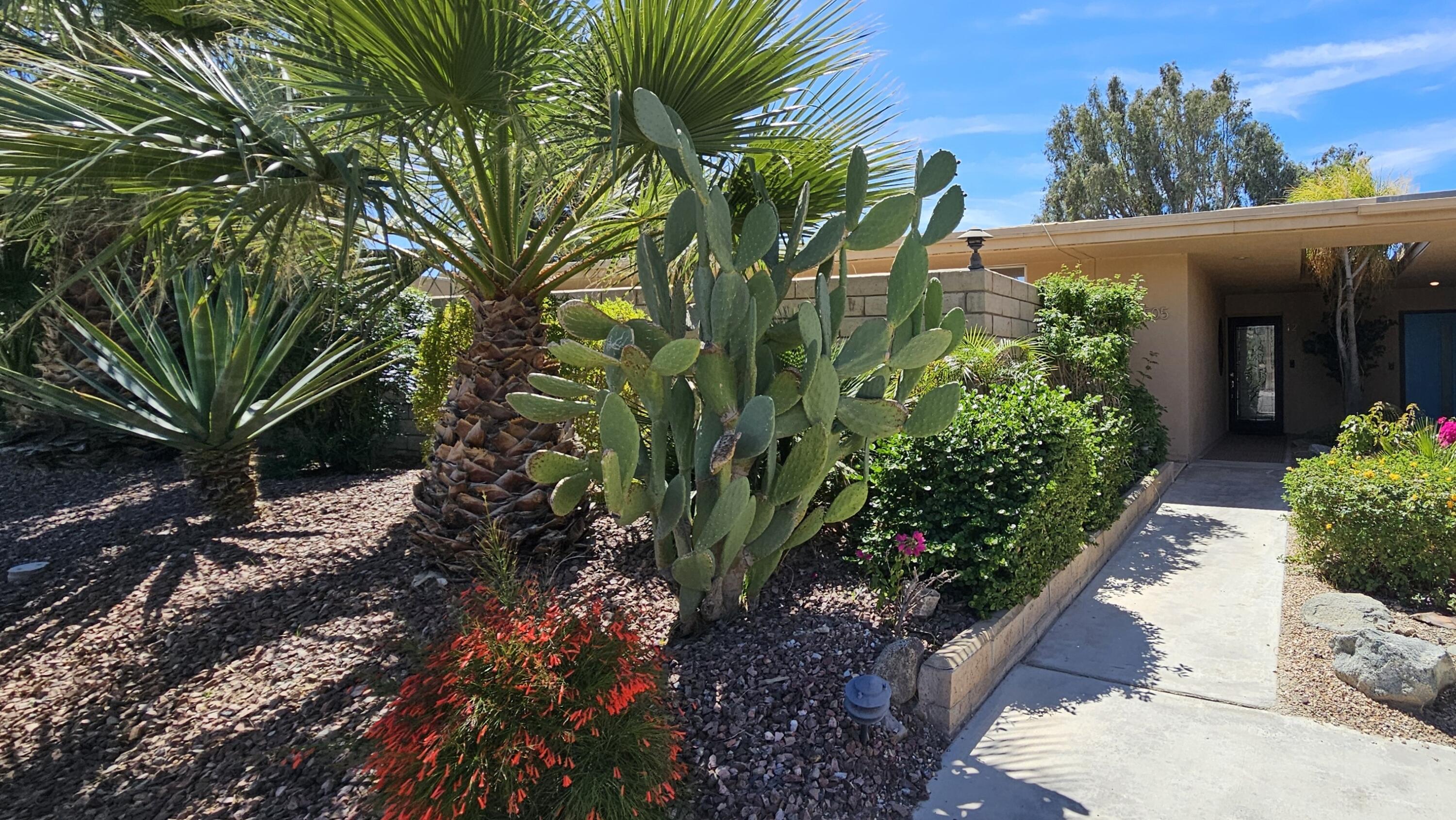 a view of a garden with plants