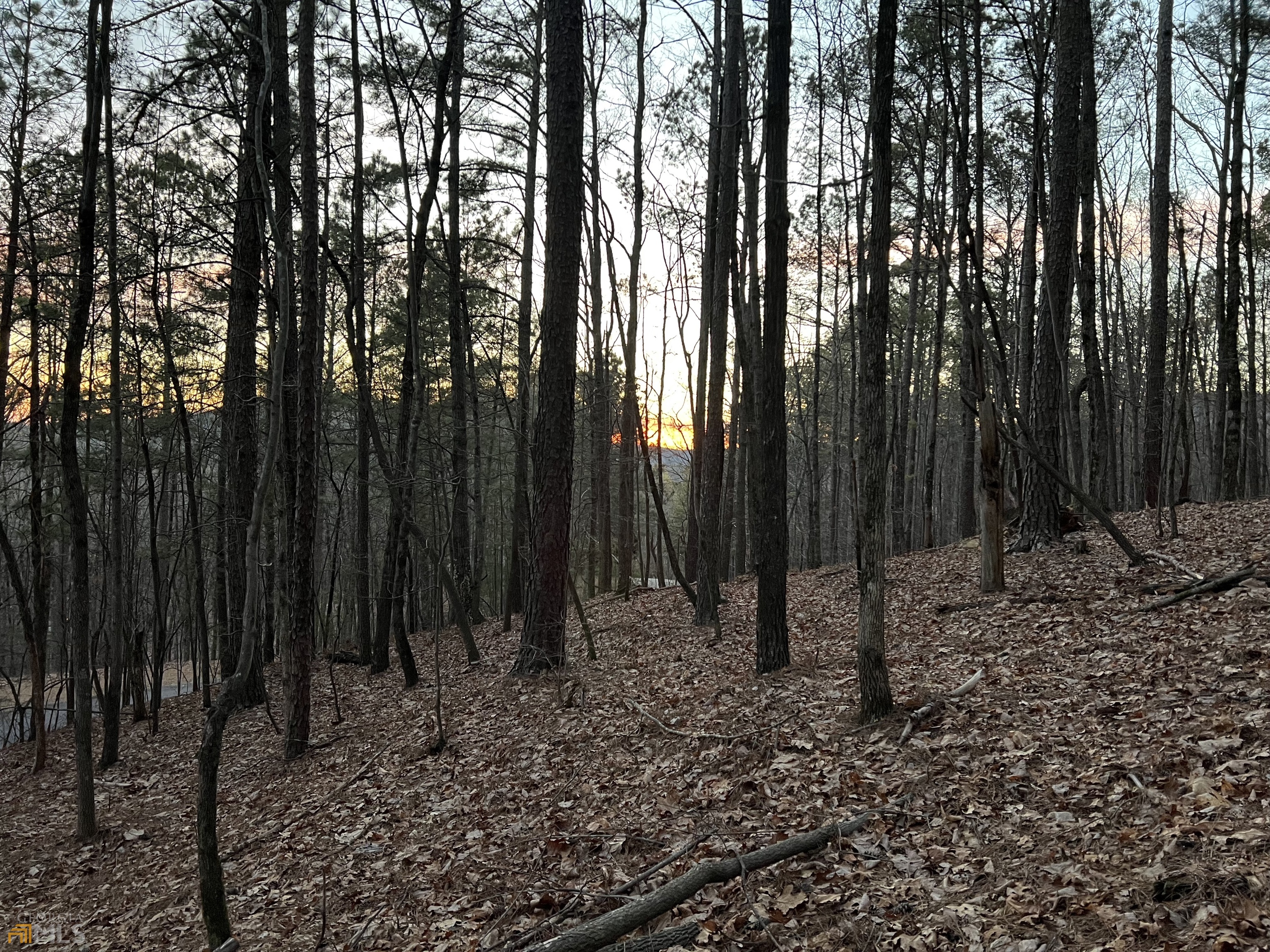 a view of outdoor space with lots of trees