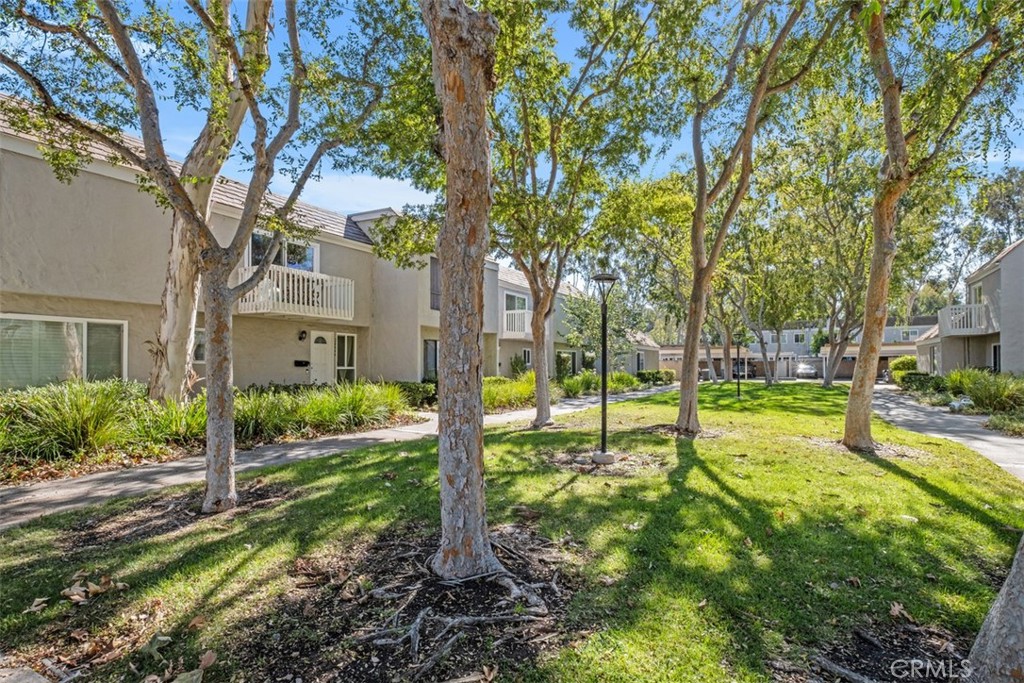 a view of a house with a yard and tree s