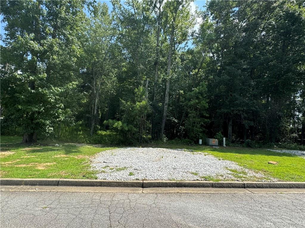 a view of a tree with a yard