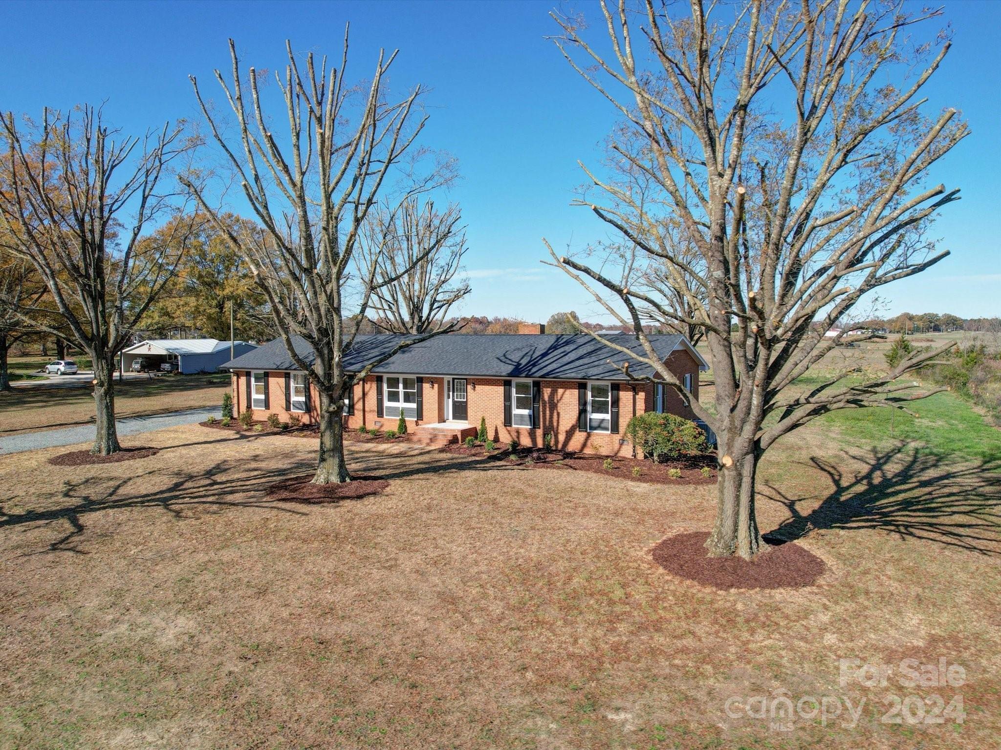 a view of a yard with a tree