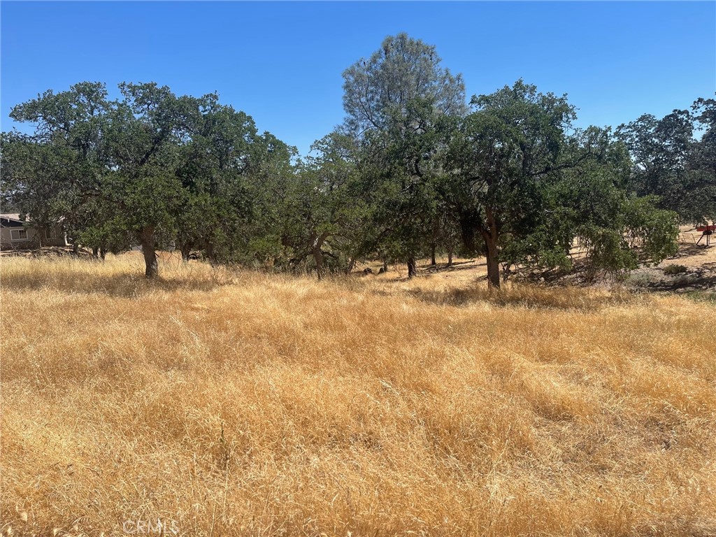 a view of ocean view with large trees