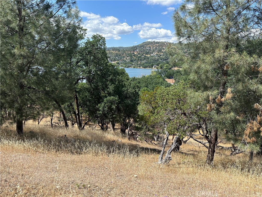 a view of a lake view