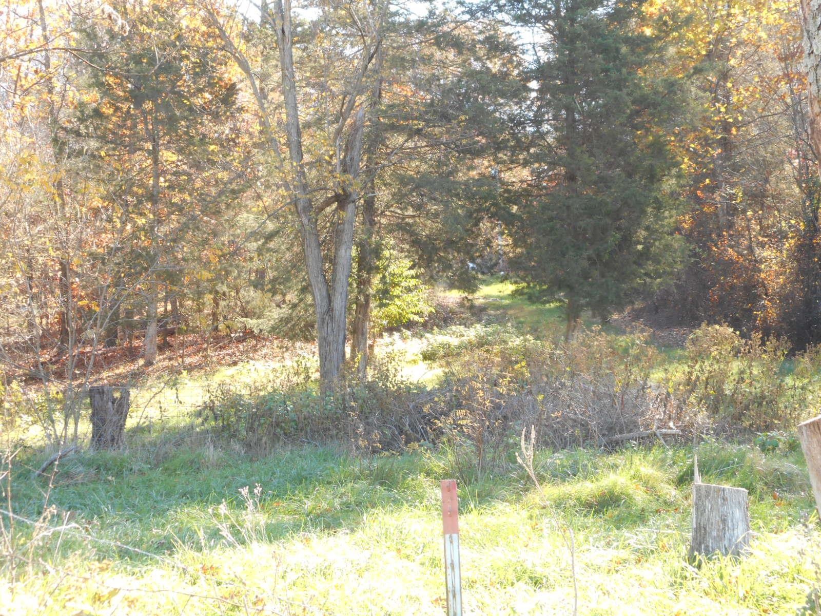 a view of yard from window