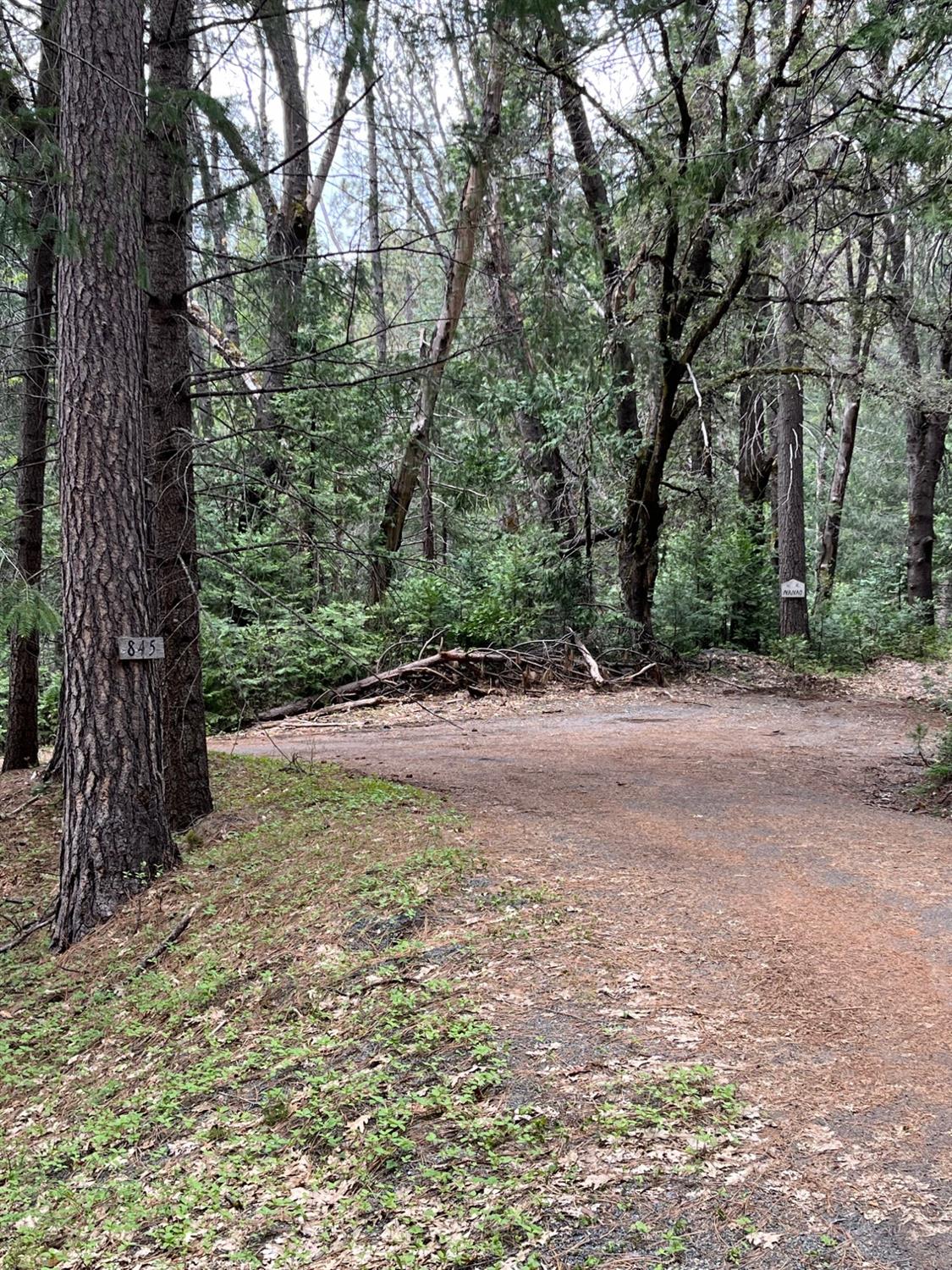 a view of outdoor space and trees