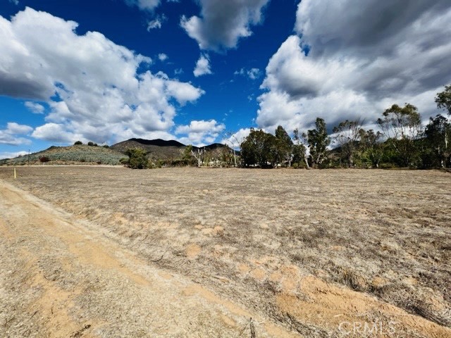 a view of a yard with an tree