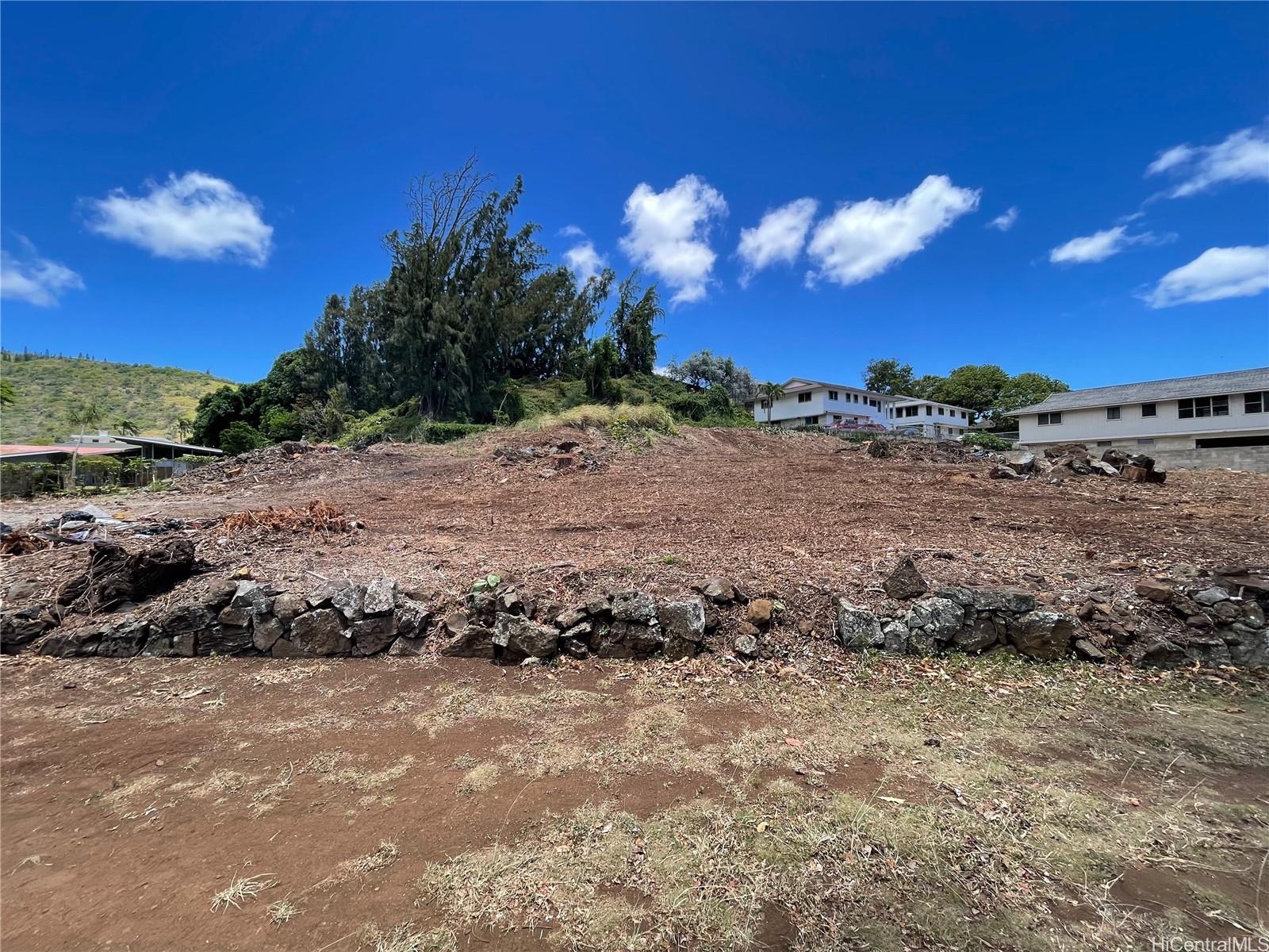 a view of a dry yard