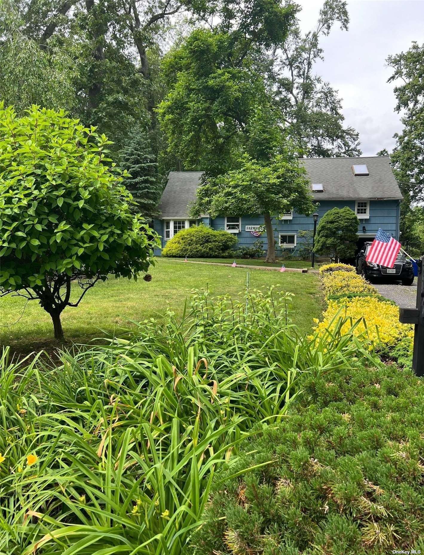 a view of a backyard