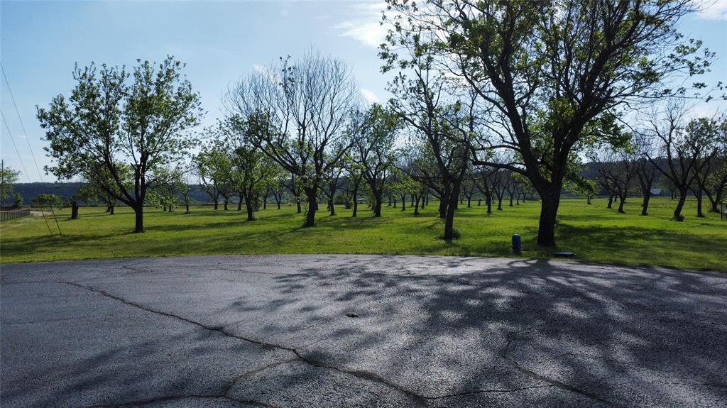 a view of a park with tree s