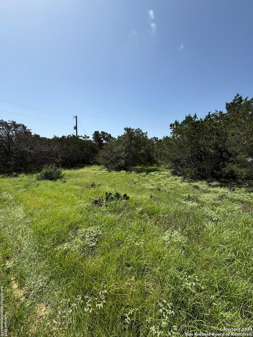 a view of a field of grass and trees