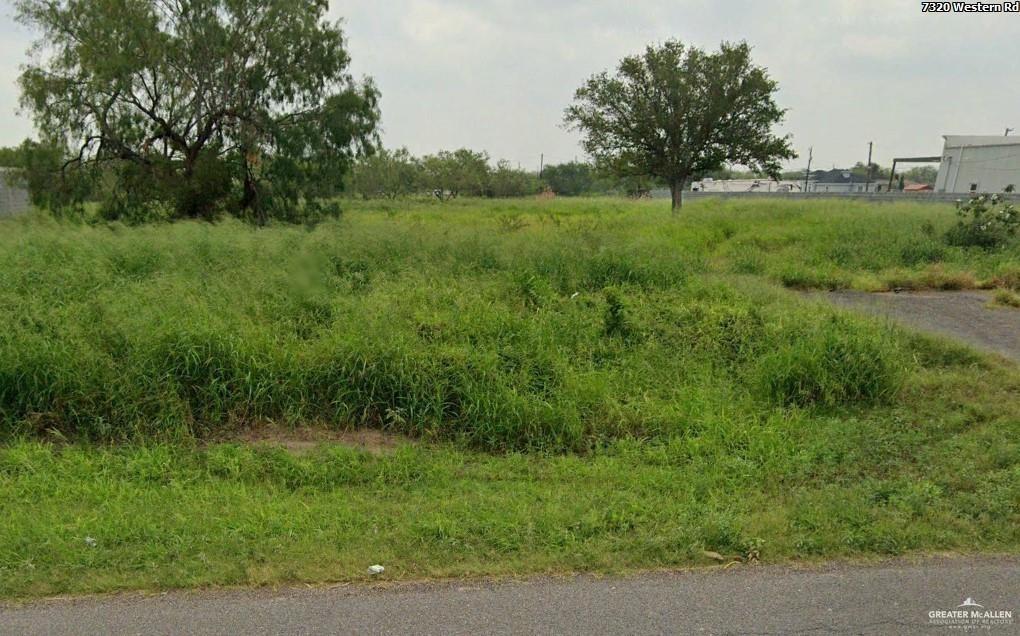 a view of a lush green space