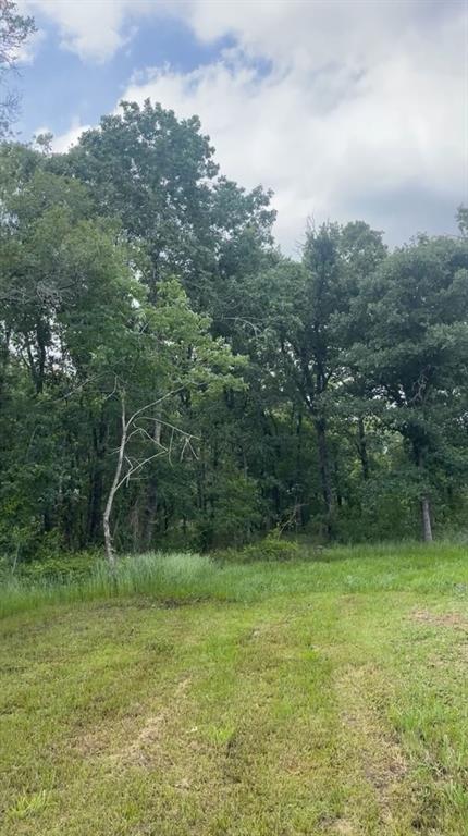 a view of a field with a tree in the background