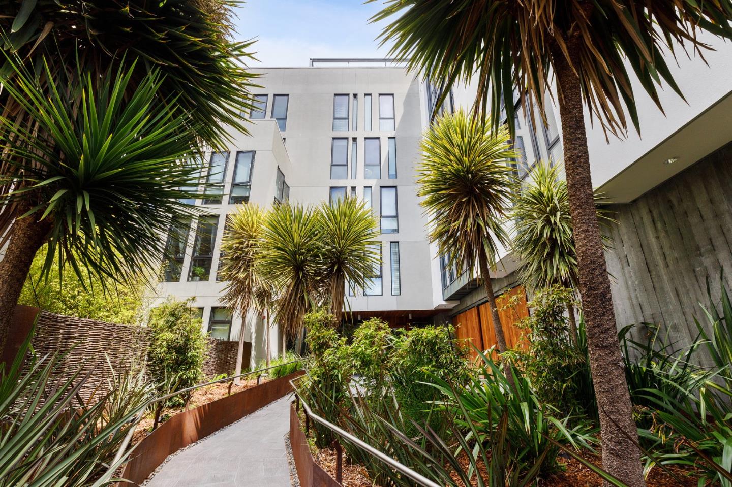 a view of a palm trees in front of a building