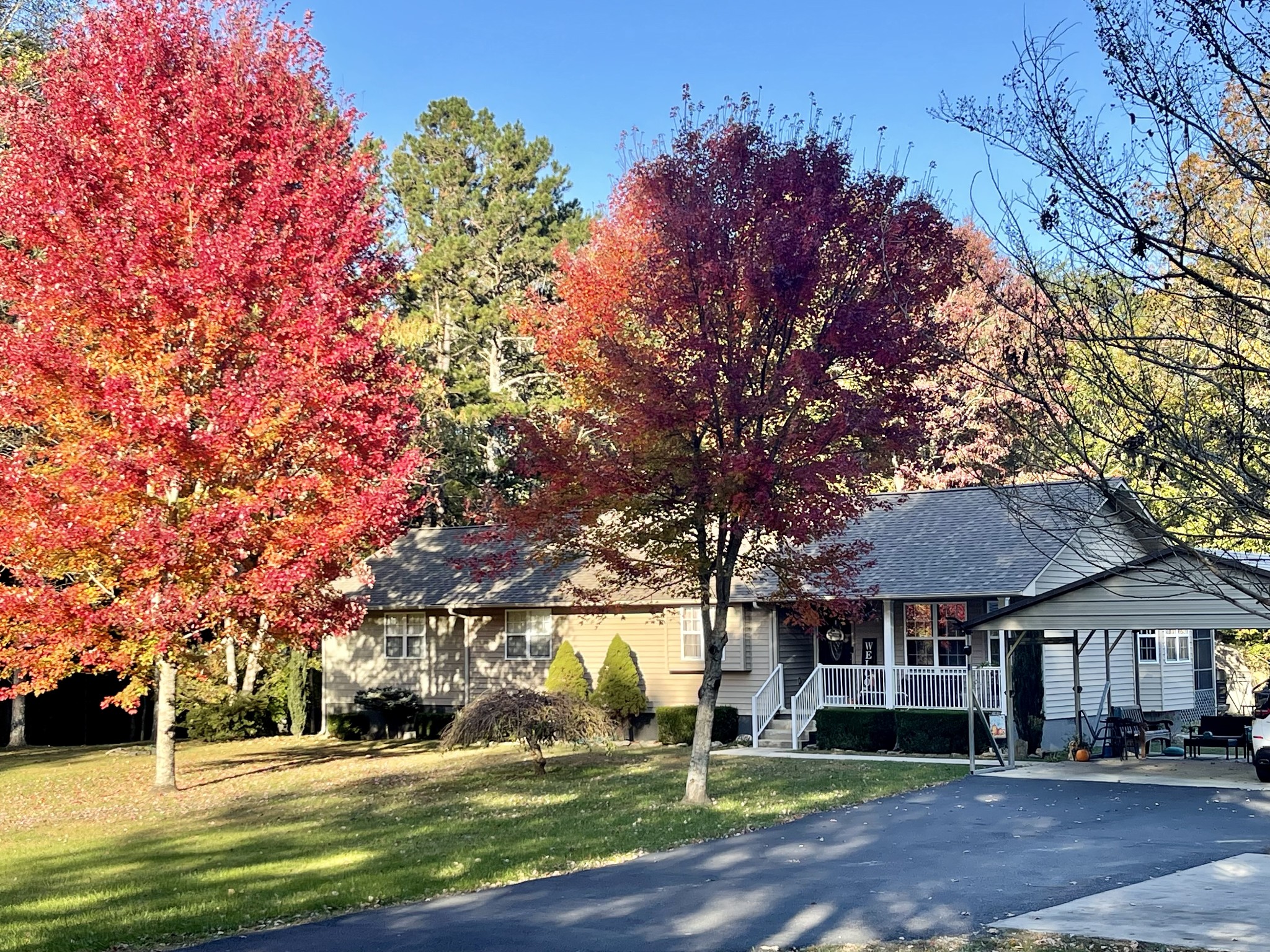 Beautiful house with over 12 acres