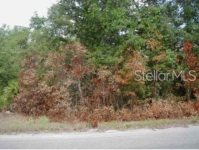 a view of a field with trees