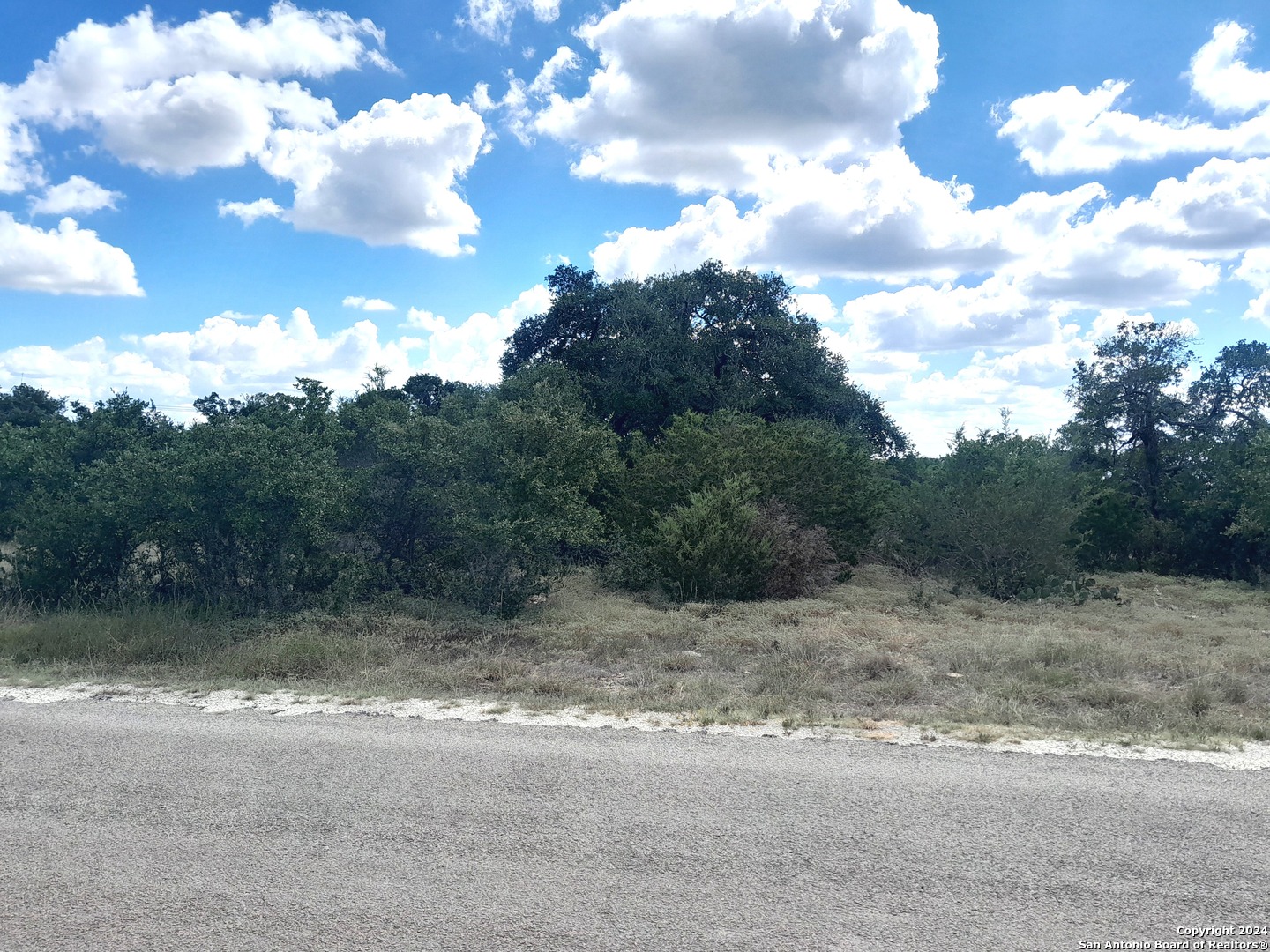 a view of a yard with a tree