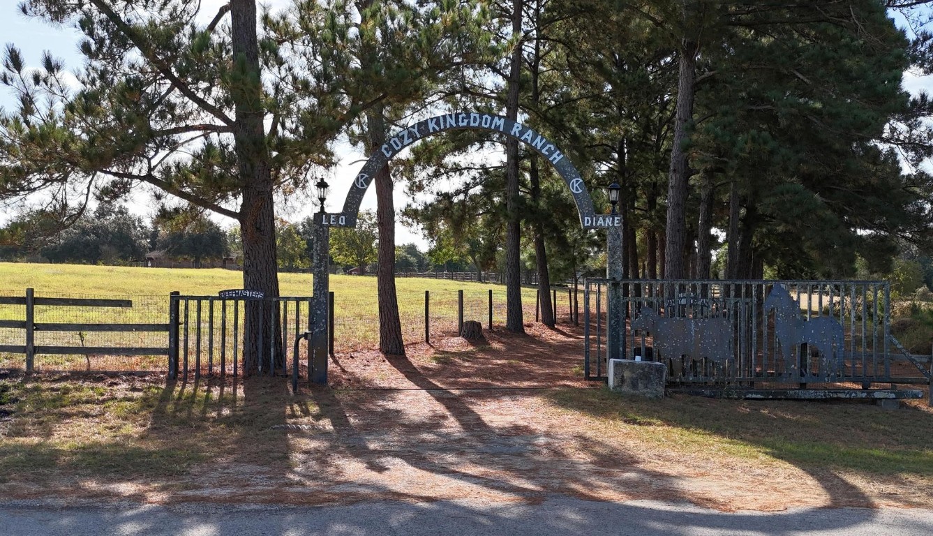 a view of a yard with wooden fence