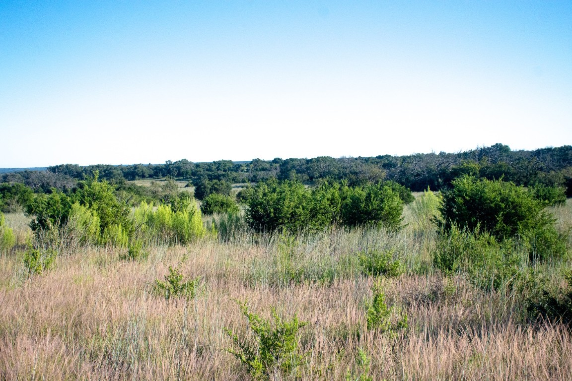 a view of a lake and green valley