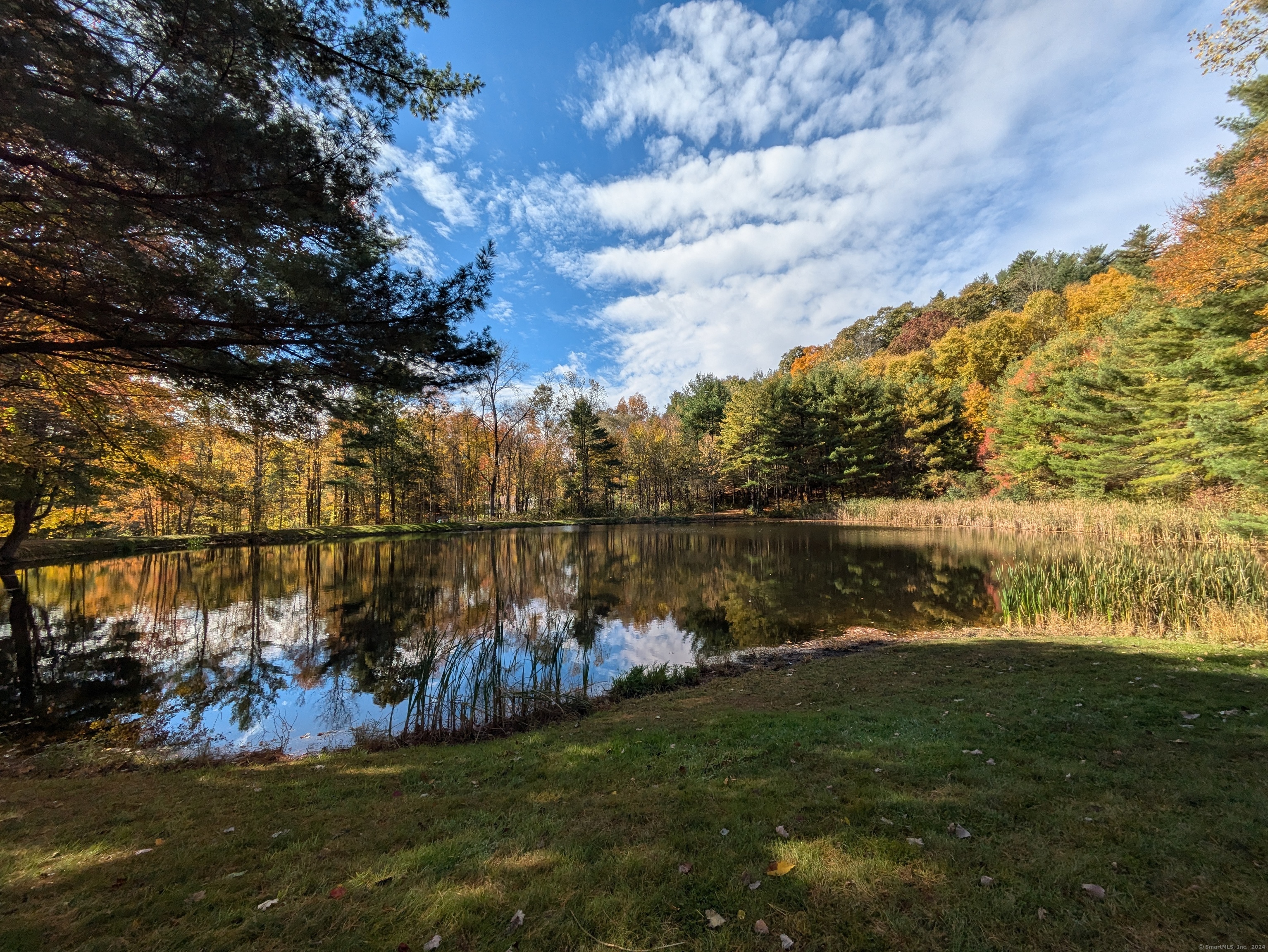 a view of a lake