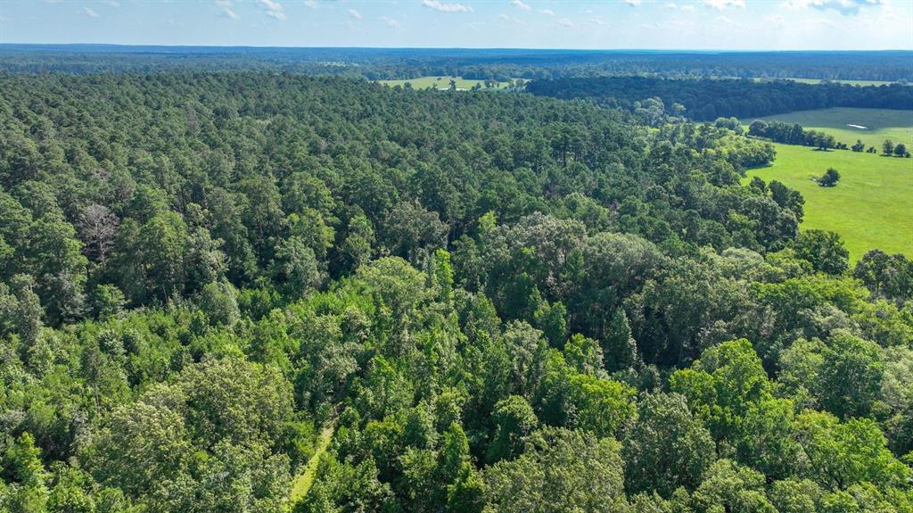 an aerial view of a houses with a lush green forest