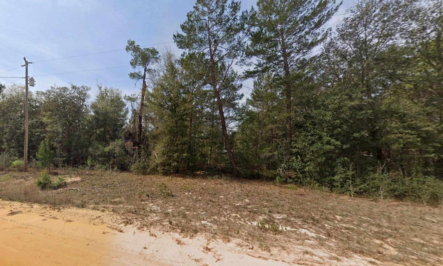 a view of a yard with a tree