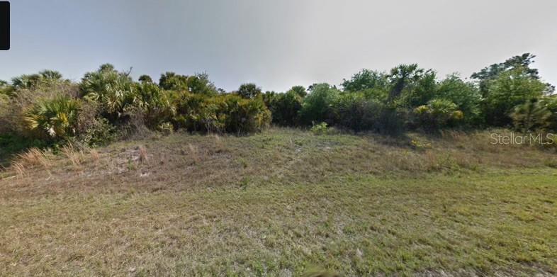 a view of a dry yard with trees in front of it