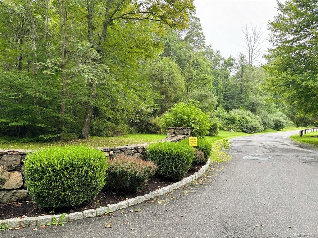 a view of a garden with a pathway