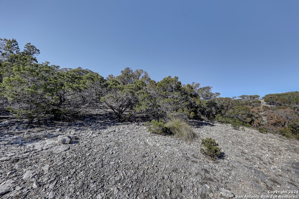 a view of a dry yard with trees in the background