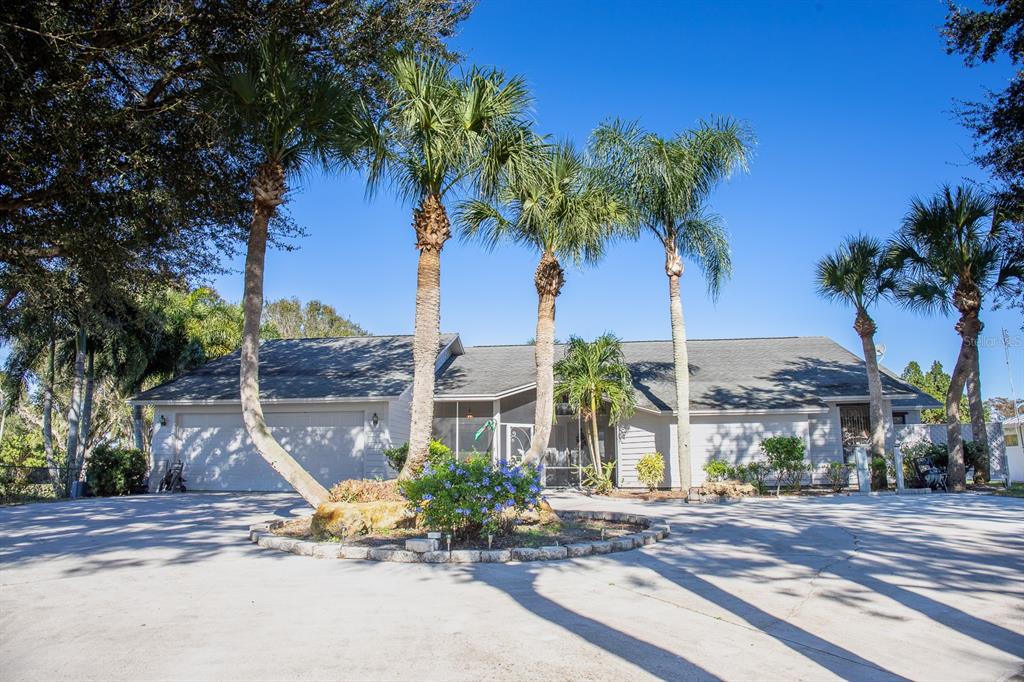 a view of a backyard with palm trees