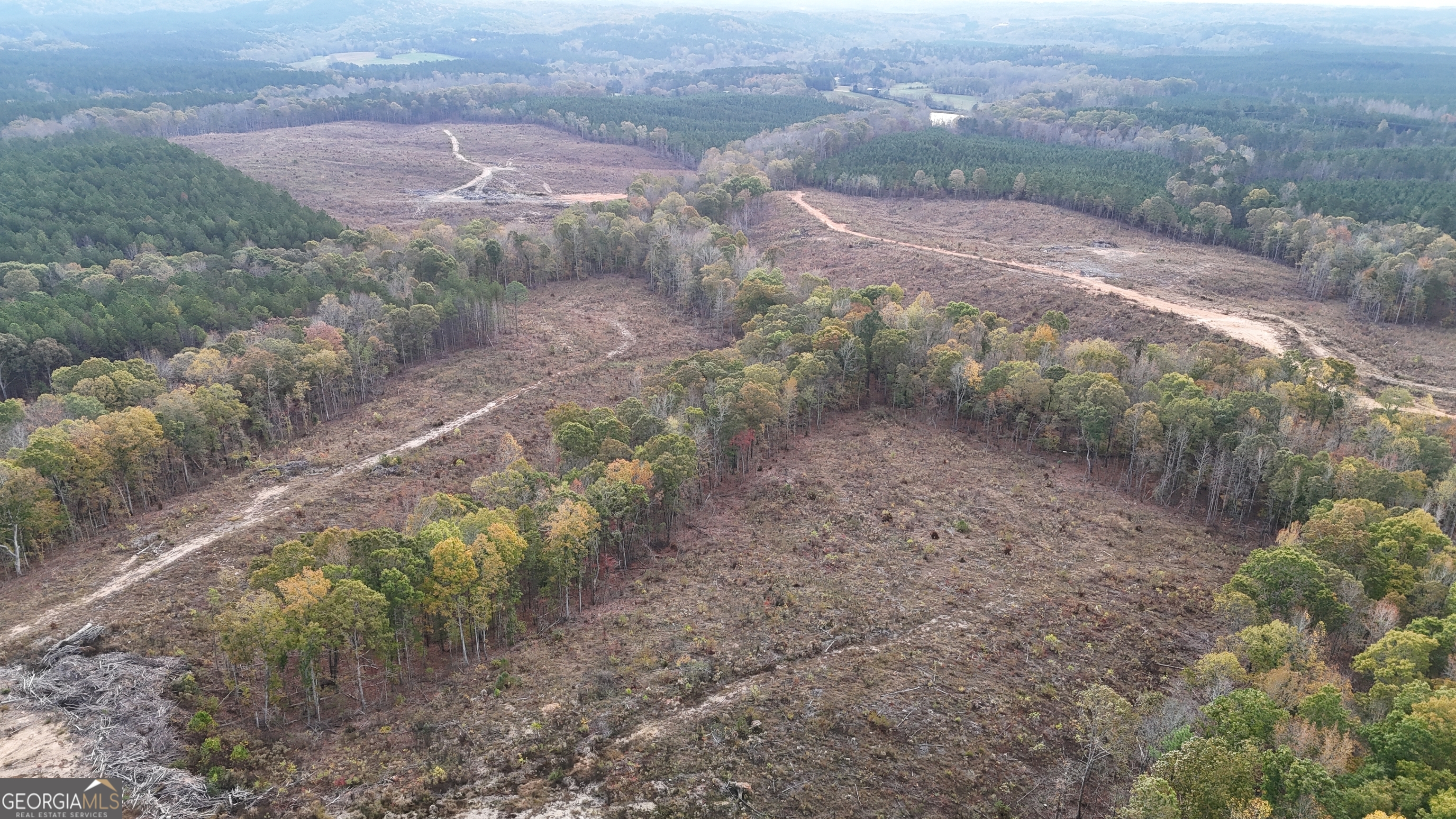 a view of a dry yard with trees