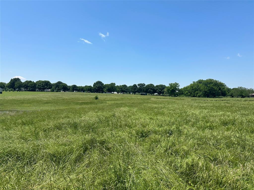 a view of a grassy field with trees