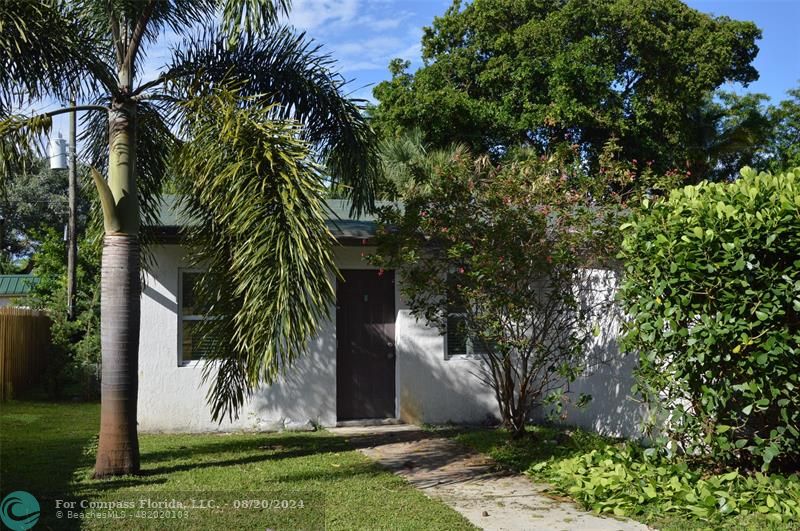 a view of a yard with plants