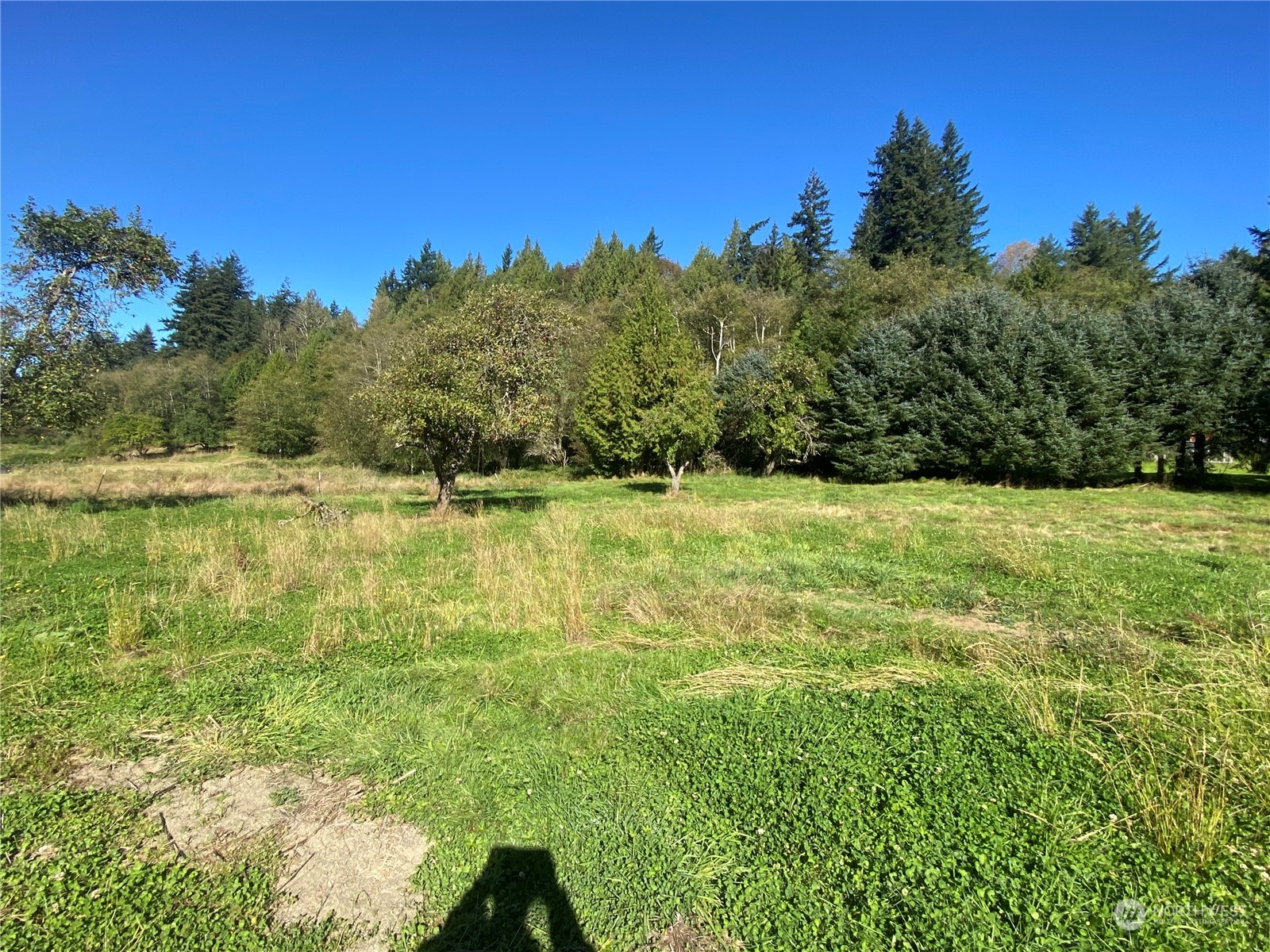 a view of a field with an ocean space