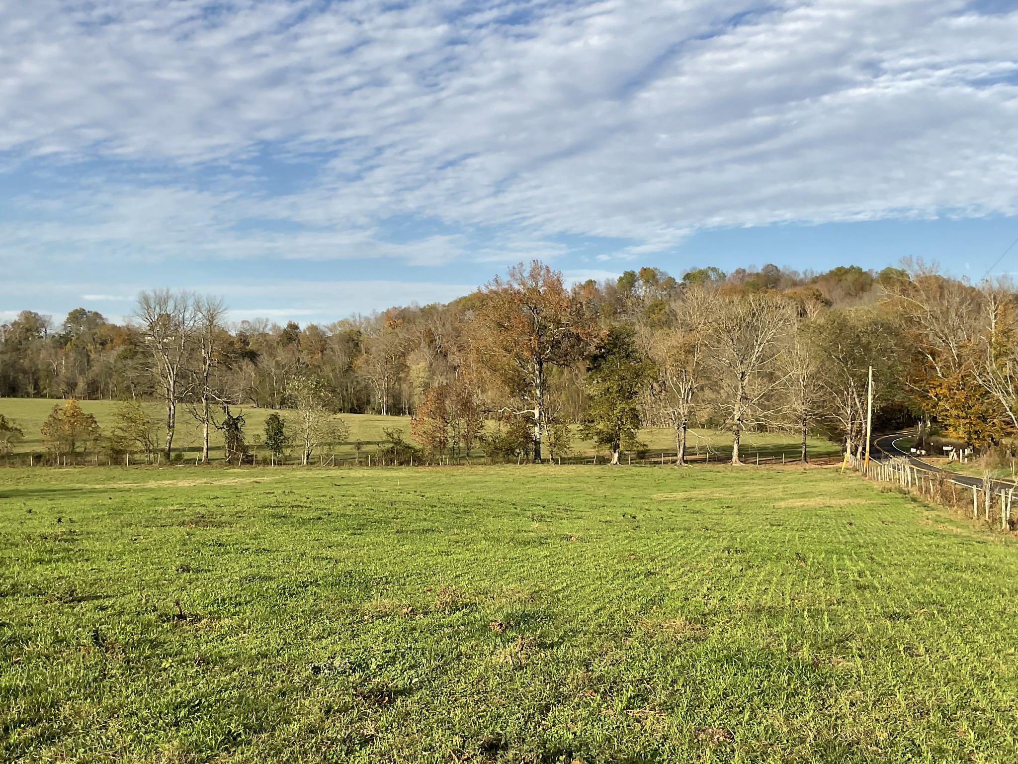 a view of a field with an ocean