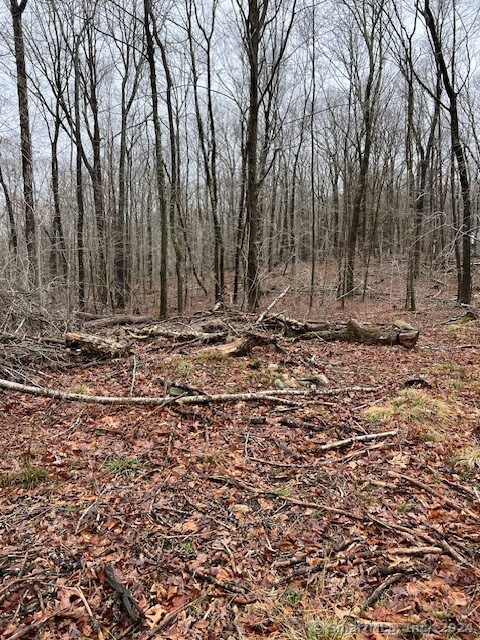 a view of a backyard of the house