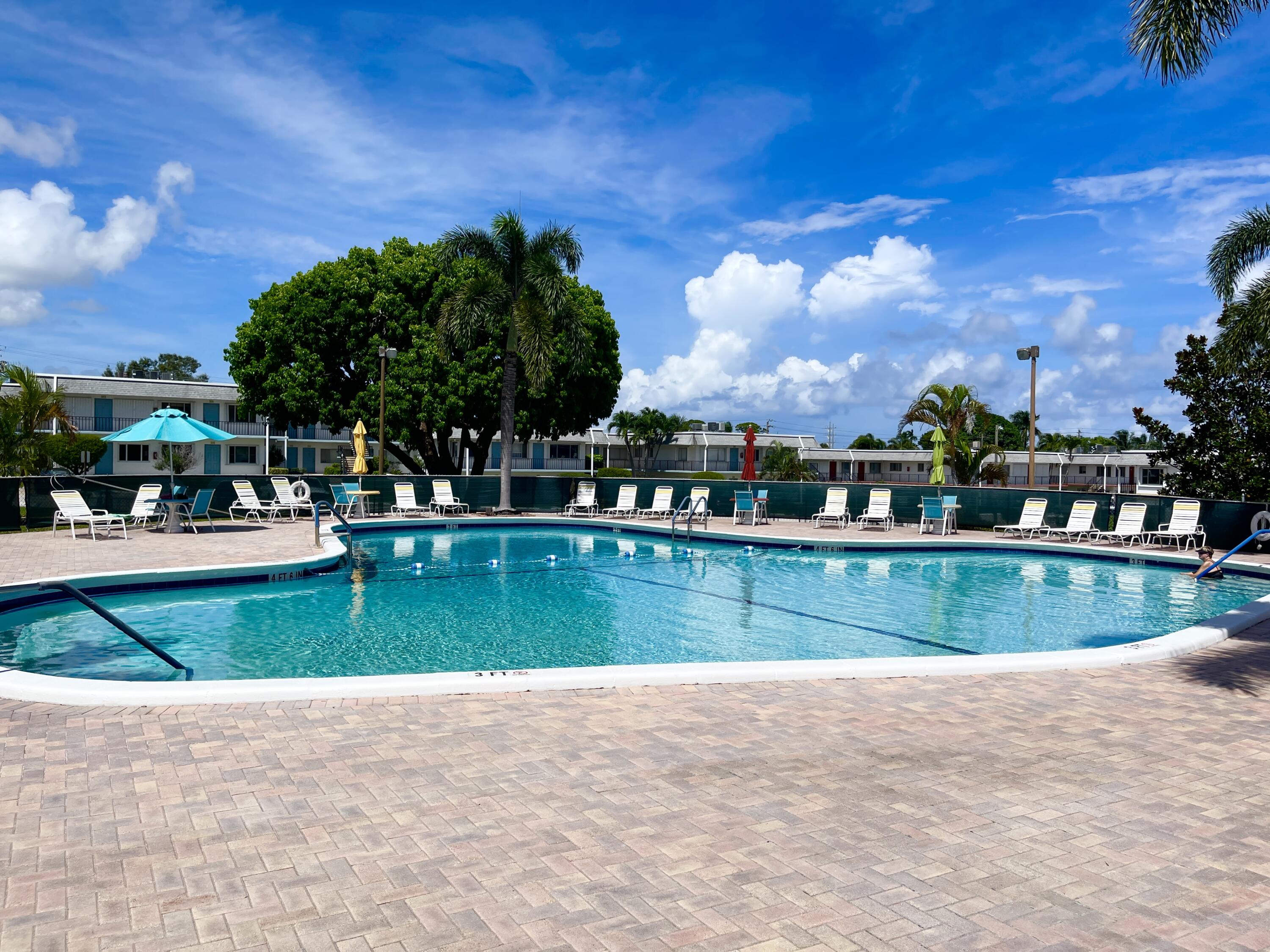 a view of swimming pool is middle in the garden