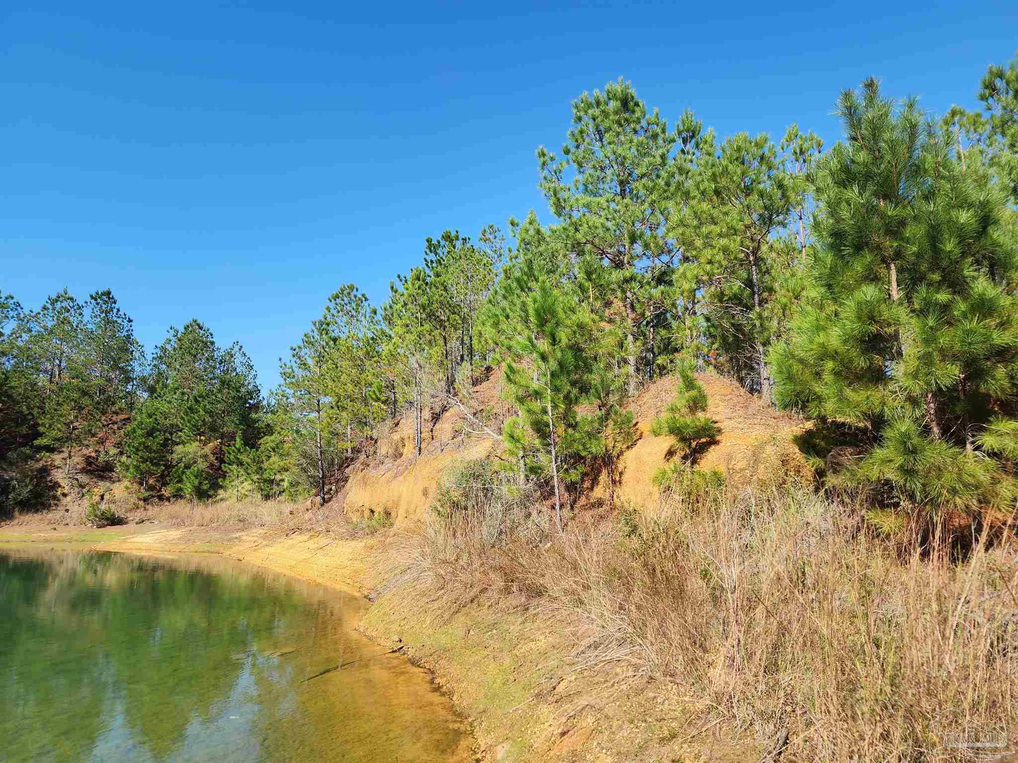 a view of a lake with a tree