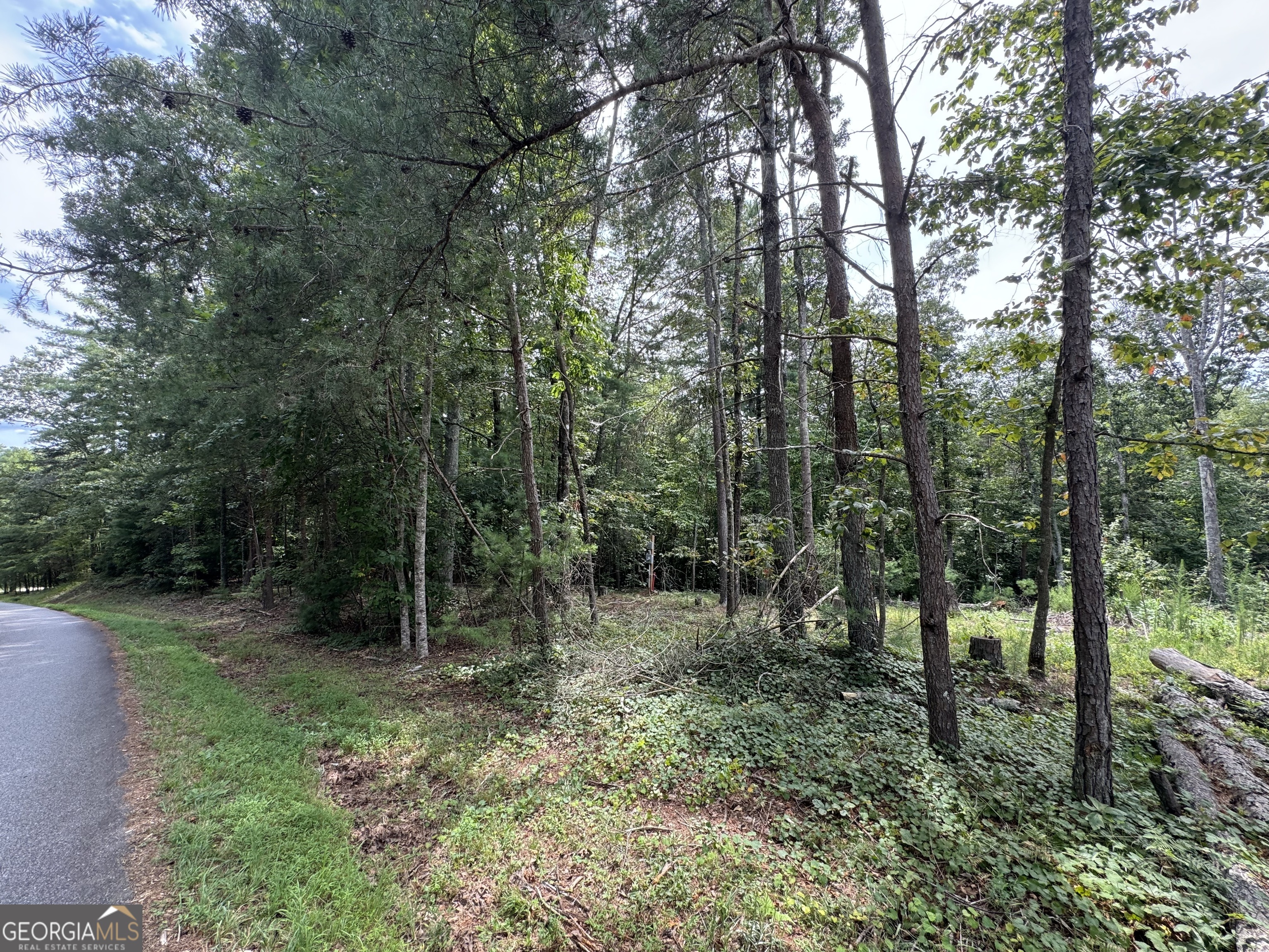 a view of outdoor space and green space