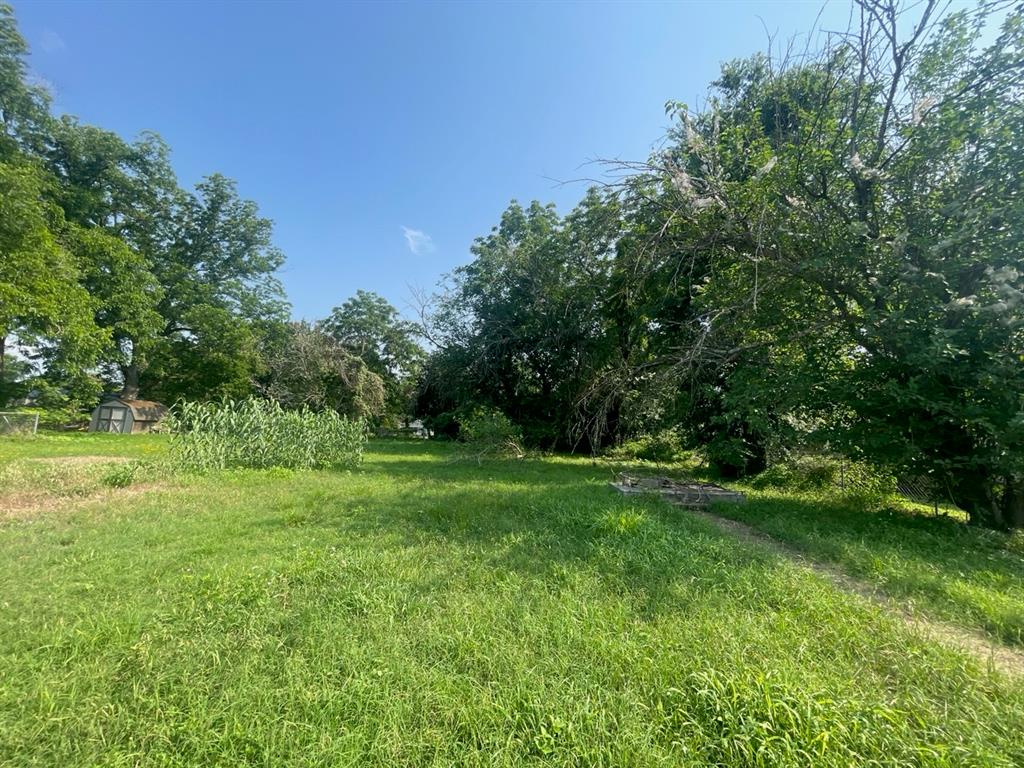 a view of a grassy field with trees