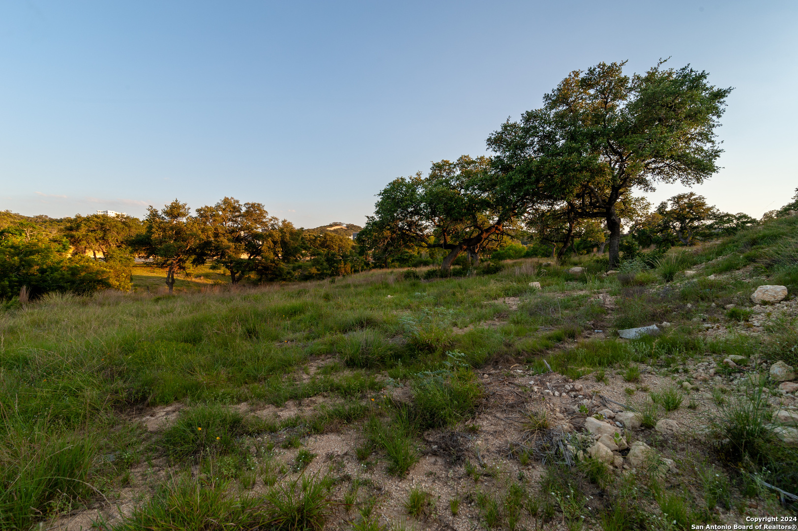 a view of a field of grass and trees