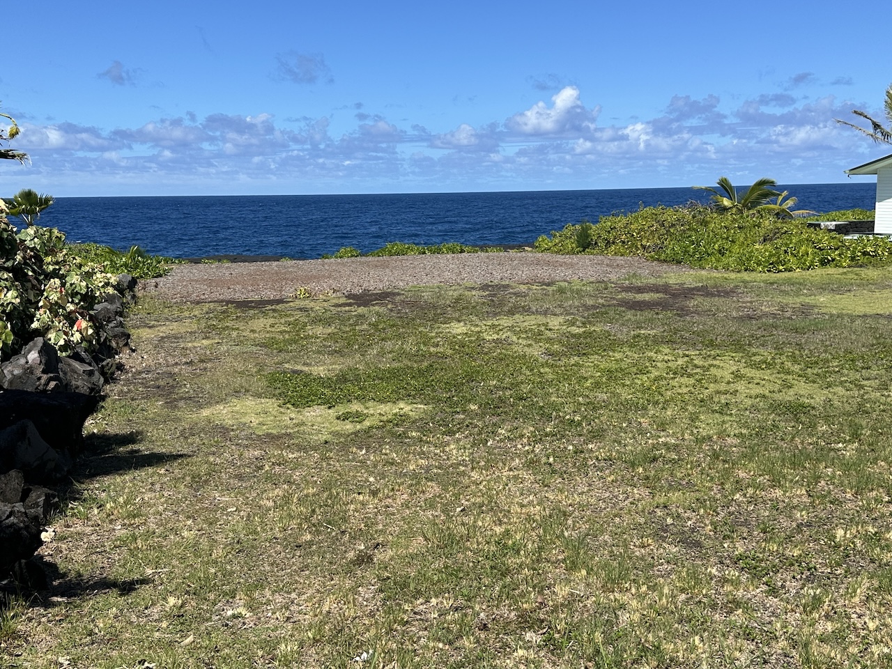 a view of a field with an ocean