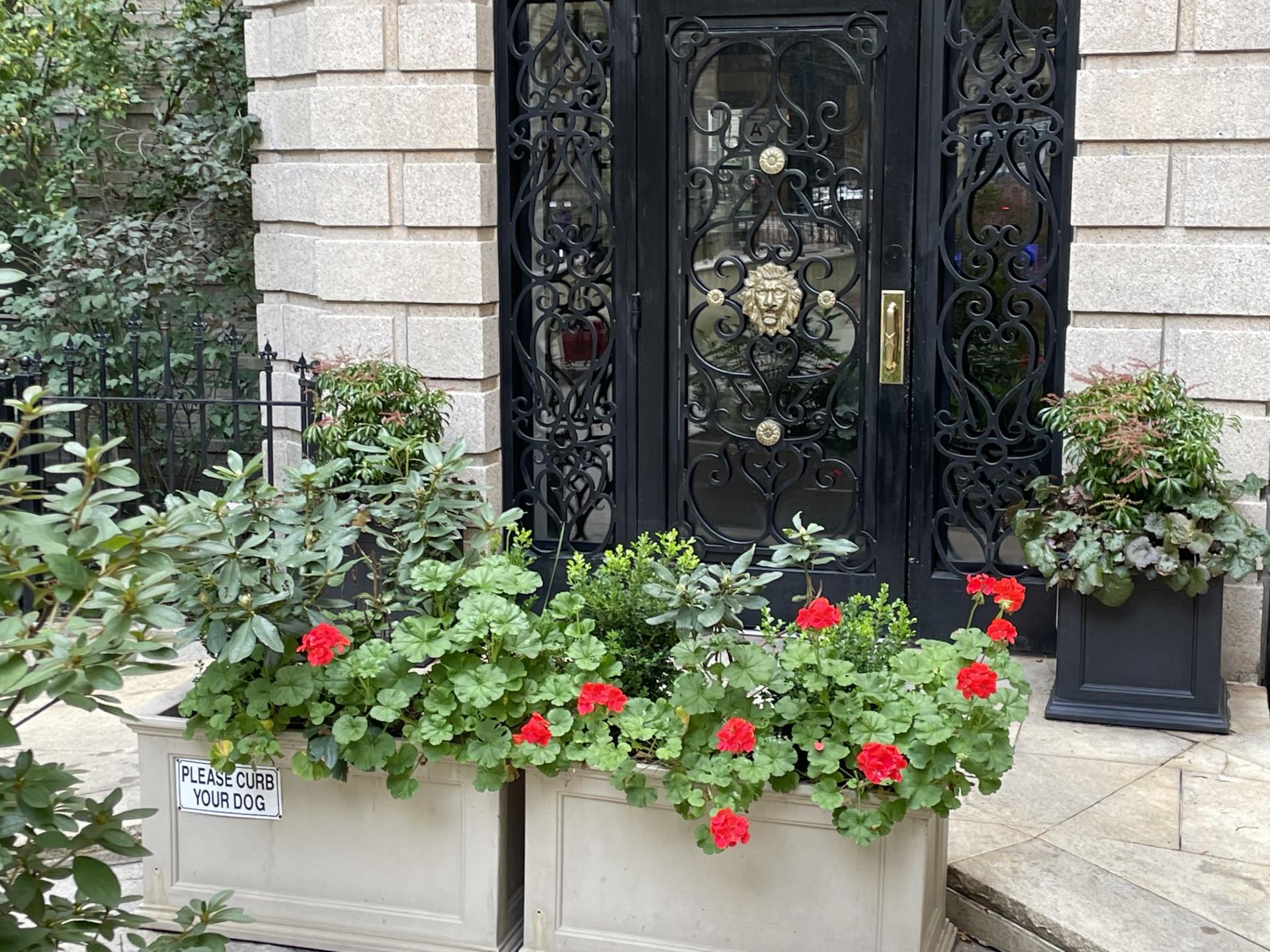 a flower plants in front of a house