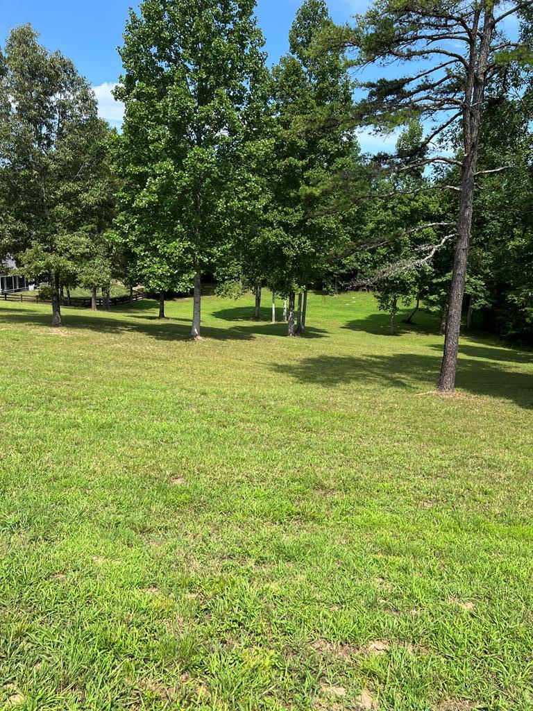 a view of a green yard