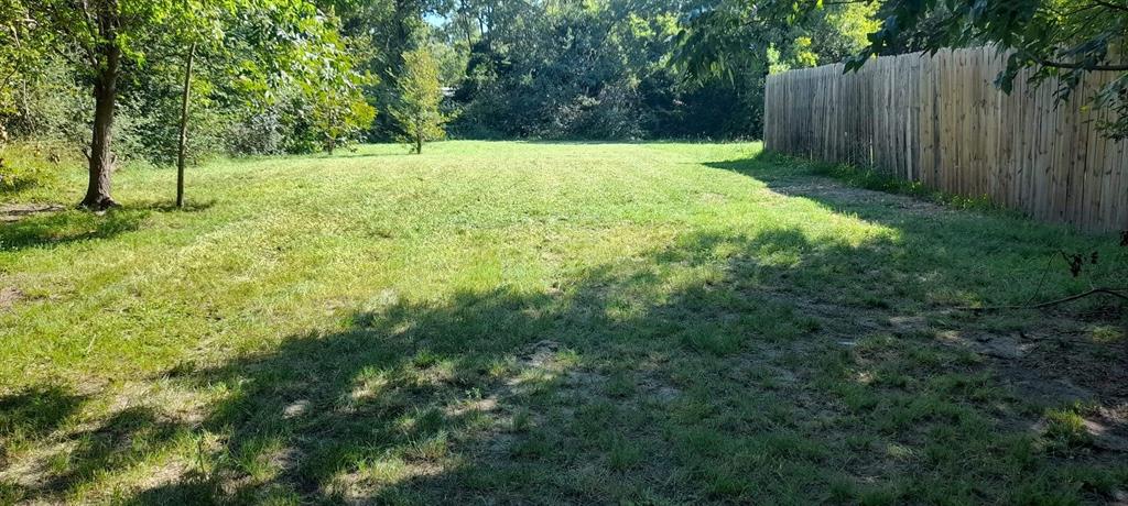 a view of a yard with large trees