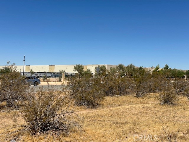 a view of a dry yard with trees