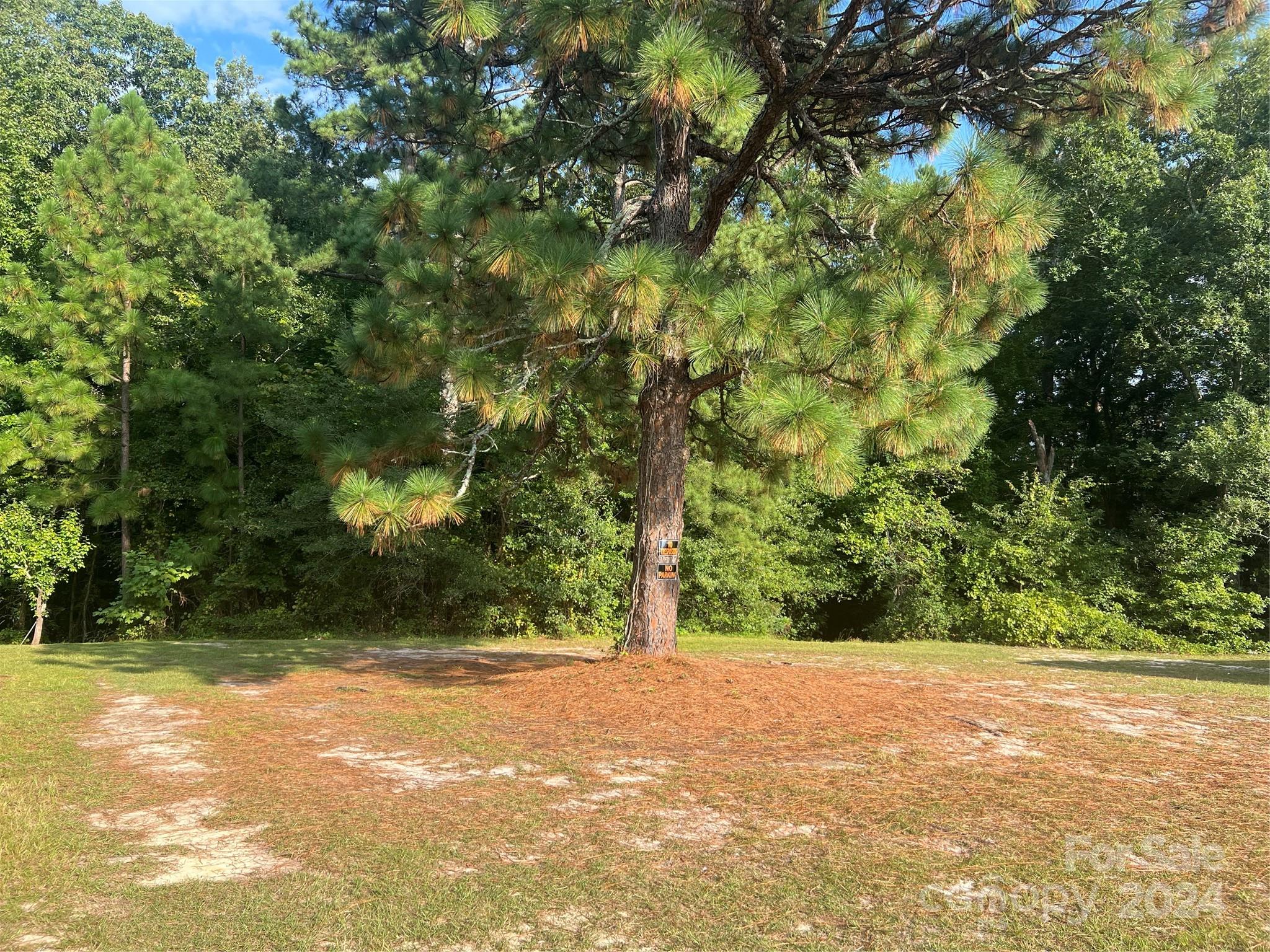 a view of backyard space