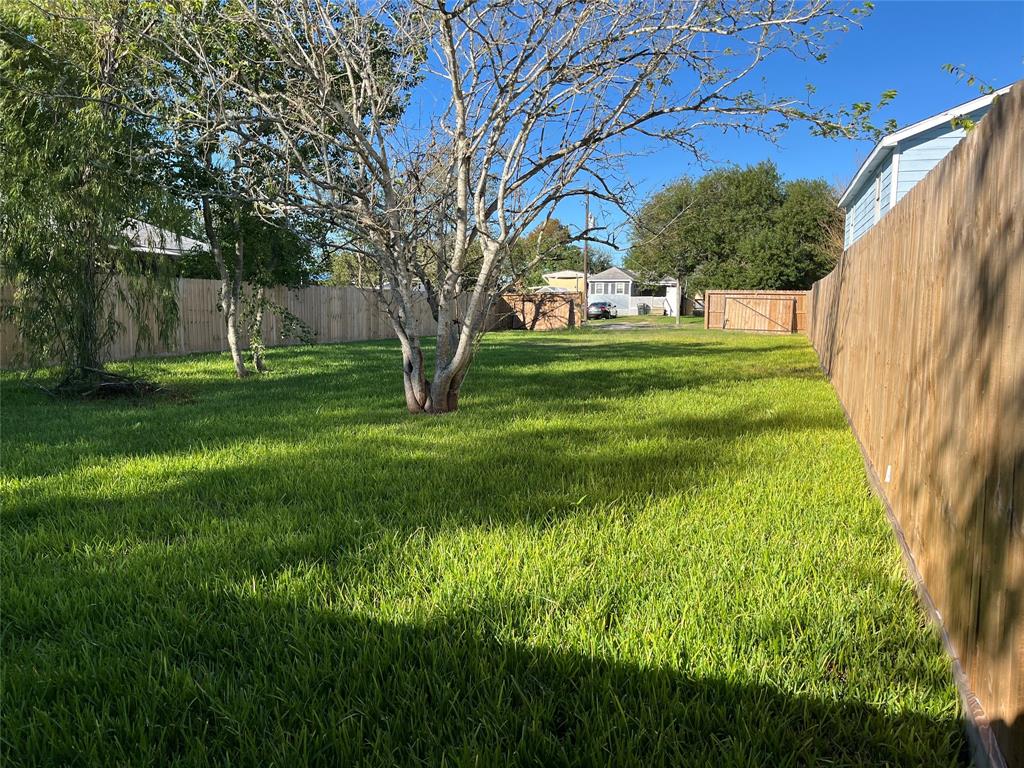 a garden view with a fountain